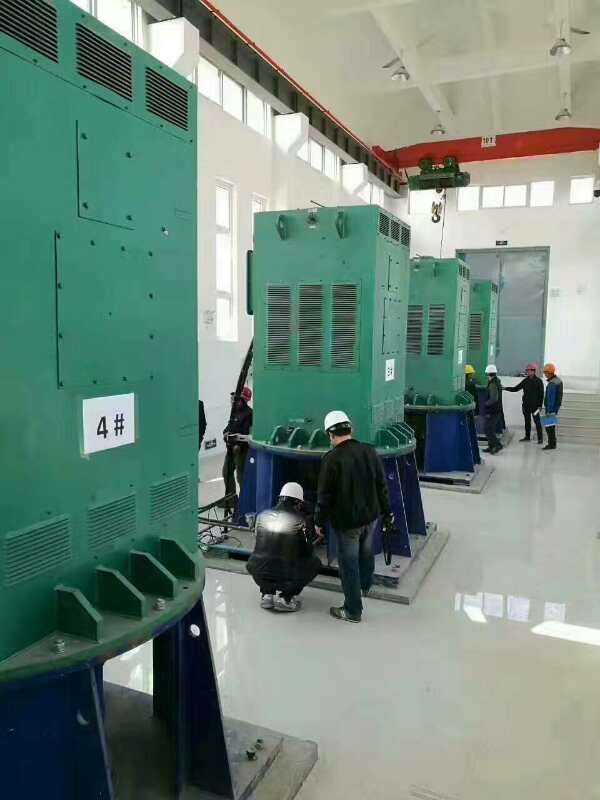 朔州某污水处理厂使用我厂的立式高压电机安装现场